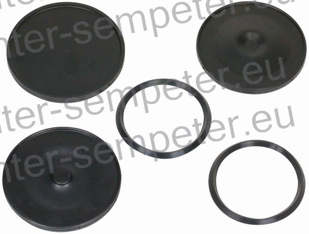 MEMBRANE ČRPALKE ŠKROPILNICE GRT RAU 440L