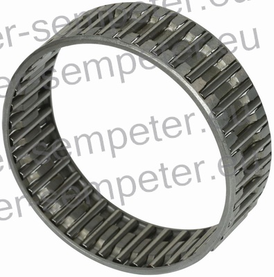 LEŽAJ IGLIČASTI GREDI DIFERENCIJALA TD TORPEDO 75 DEUTZ FAHR BQ