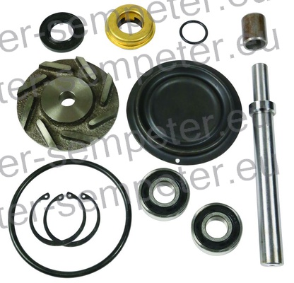 DELI ZA POPRAVILO ČRPALKE VODE grt CASE STEYR motor: WD301.88 - WD301.89 - WD308.40 - 41 - 45 - 48 - 85 - WD408.40 - 42