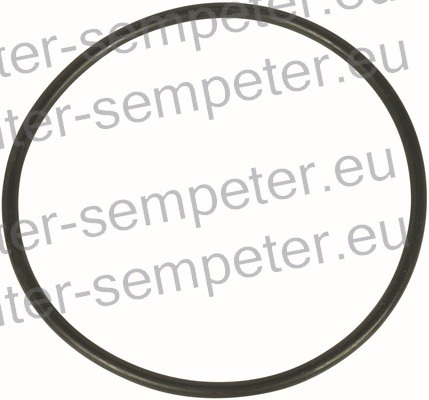 GUMICA O - RING FIAT