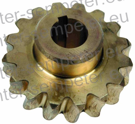 KOLO POLŽEVO SIP BUCHER