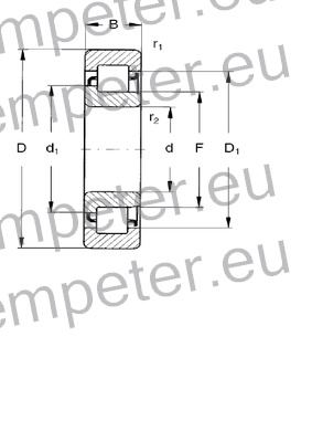 LEŽAJ VALJČNI NJ307 A AQ