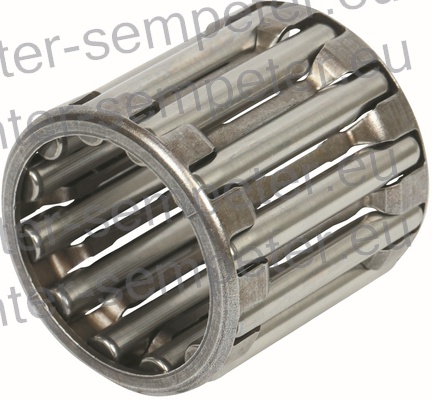 LEŽAJ IGLIČASTI SAME - SLH