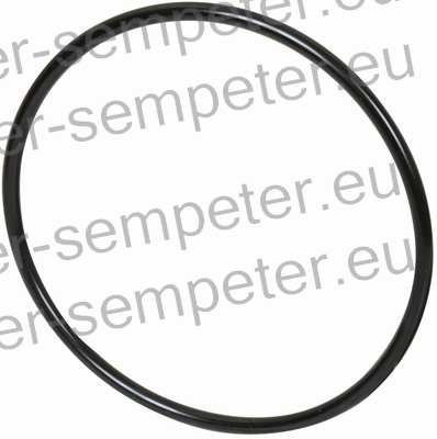 GUMICA O - RING ČRPALKE VODE SDF