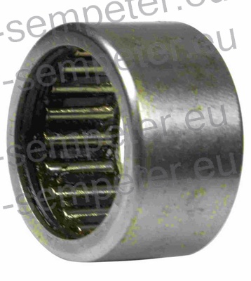 LEŽAJ IGLIČASTI RHNA 303824