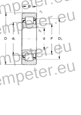 LEŽAJ VALJČNI NJ1009 ECP BQ