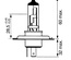ŽARNICA H4 12V 60/55W P43T