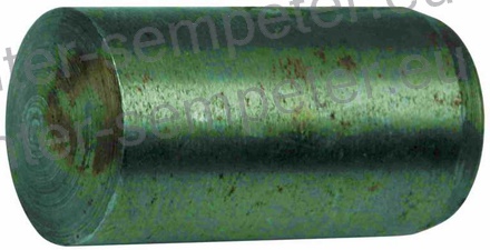 ČEP NOSILCA PREDNJEGA POGONA ZETOR