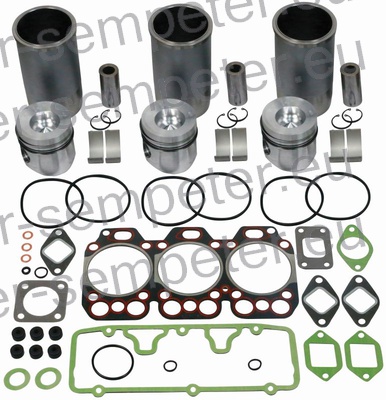 DELI GRT ZA OBNOVO MOTORJA WD 311 STEYR 8055 8060 8065