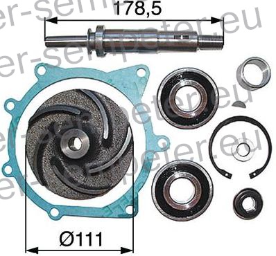 DELI ZA POPRAVILO ČRPALKE VODE MF - MASSEY FERGUSON RX85 - RX88 - 110 Tipo - 399 - 699 - 1014S - 1114 - 1134 - 2620 - 2625 - 2640 - 2645 - 2680 - 2685 - 2720 - 2725 - 2720 - 3080 - 3090 - 3610 - 3630 - 3650 - 13000