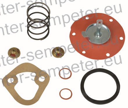 DELI SET ČRPALKE GORIVA AC grt