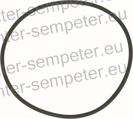 GUMICA O - RING FIAT